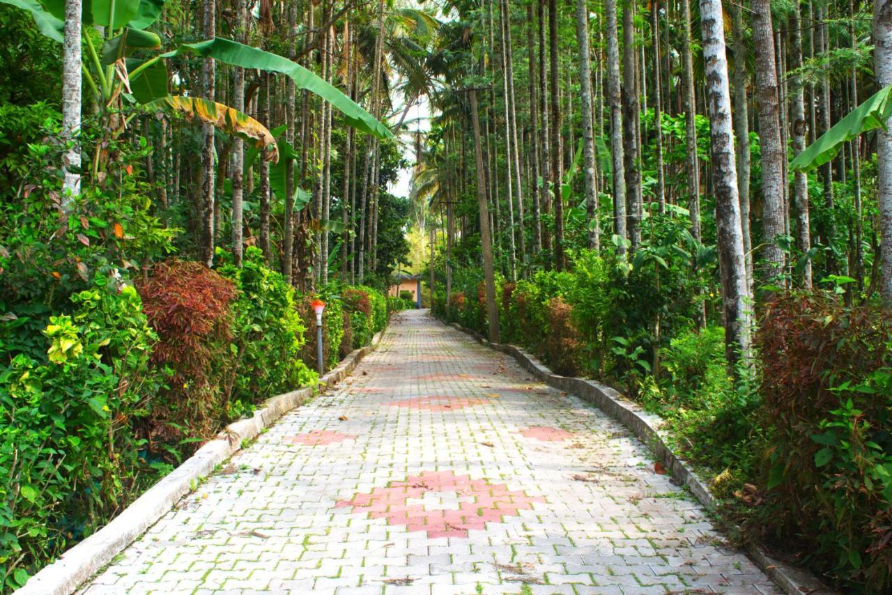 Staymaker Coorg Jungle Stay Resort Kodagu Exterior photo